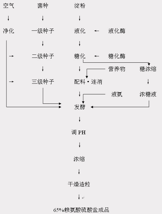 生產（chǎn）工藝流程